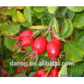 rosehips VC 5% to 20% etc